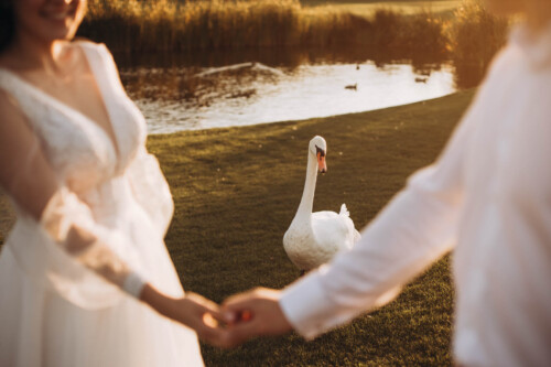 Олексій і Валерія